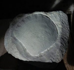 "FOSIL", skulptura u kamenu