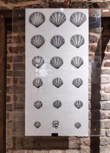 Fotografija sa izložbe (Beograd, Galerija beogradske tvrđave)