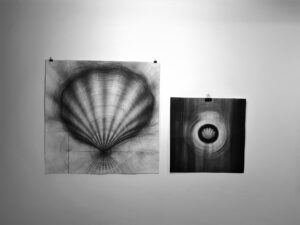 Fotografija sa izložbe (Beograd, Galerija DKSG)