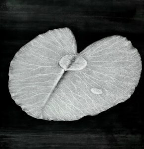 "IZNAD" 47x47cm, ugljen na papiru