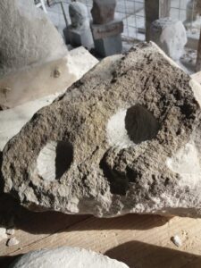 "FOSILI", skulptura u kamenu