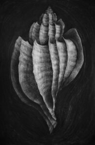 "OKLOP" 100x70cm, ugljen na papiru