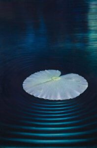 ODSUSTVO" 120x80cm, ulje na platnu