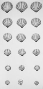 "RITAM" 100x50cm(x2), ugljen i pastel na papiru, (diptih)