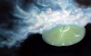 “GLAVA U OBLACIMA“ 50x80cm, ulje na platnu