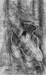 "ŠKOLJKA 1" 30x20cm, ugljen na papiru