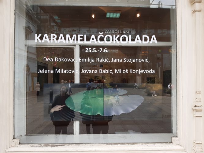 Fotografija sa izložbe (Beograd, Galerija FLU)