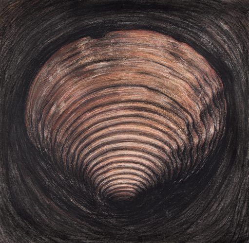 "ŠKOLJKA 4" 30x30cm, ugljen i pastel na papiru