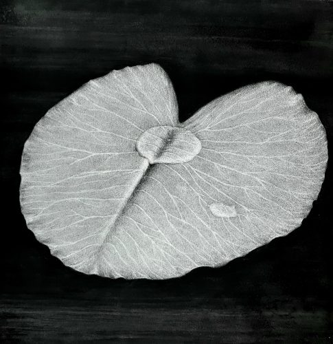 "IZNAD" 47x47cm, ugljen na papiru
