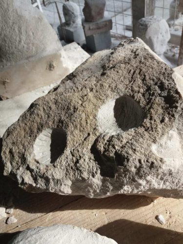 "FOSILI", skulptura u kamenu