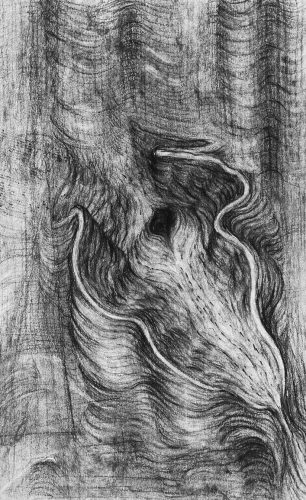 "ŠKOLJKA 1" 30x20cm, ugljen na papiru